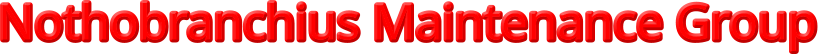 Nothobranchius Maintenance Group