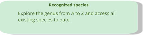 Recognized species Explore the genus from A to Z and access all  existing species to date.
